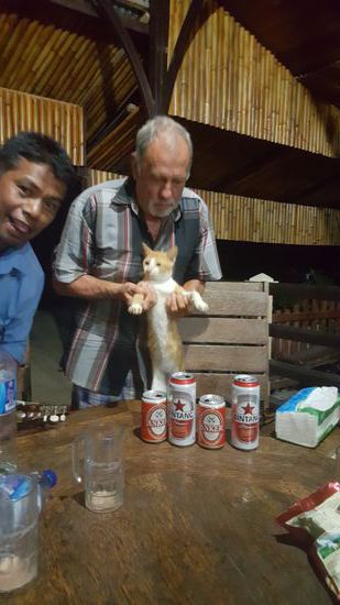 Die Katzen sind immer dabei...