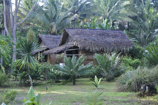 Unser Gartenbungalow..