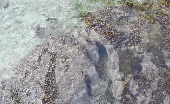 Das Wasser ist herrlich klar