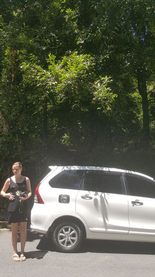 Hier stoppen wir an einem Muskatbaum...