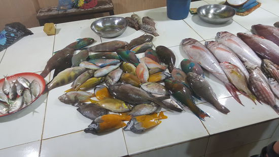 Viel zu niedlich um sie zu essen...