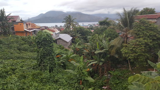 Ein paar Abschiedsbilder machen wir noch...