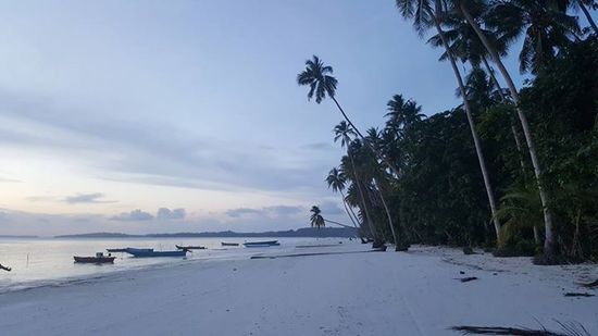 Nach einem Kaffee bringt uns Eva zu unserem Cottage--wir sind begeistert!!