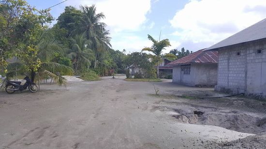 So sieht es hier drumherum aus...