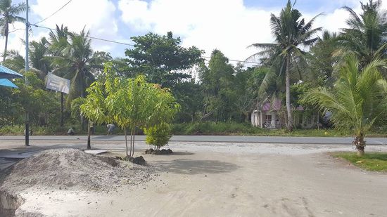 Im Hintergrund sind die Leute fleißig...