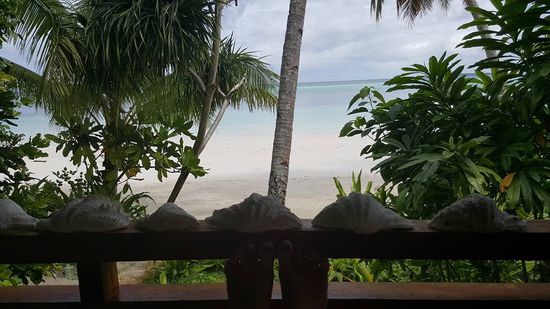 Abendstimmung von unserem Balkon--leider genießen dies auch die Mücken