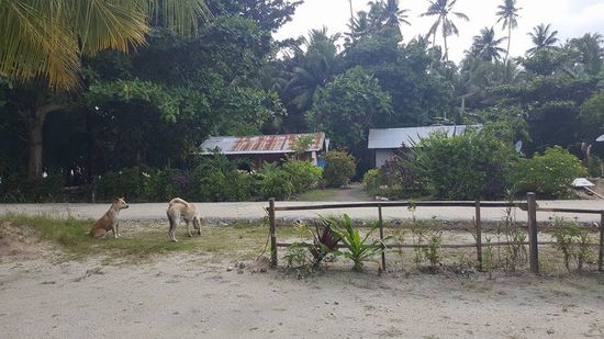 Wie überall in Indonesien, hängen hier die Menschen komplett entspannt rum...