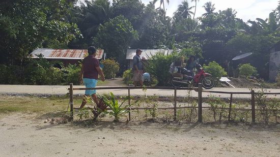 Da wird begutachtet und gekauft...