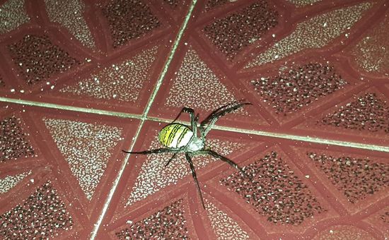 Besuch auf der Terrasse...