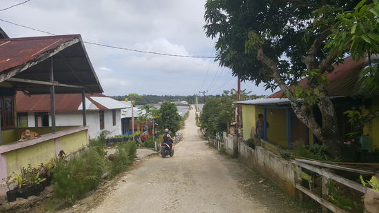 Hier ist schonmal eine kleine Brücke zu überqueren...