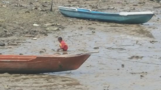 ...die Kinder suchen auch...