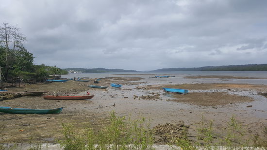 Die Fischer suchen im seichten Wasser nach Verwertbaren...