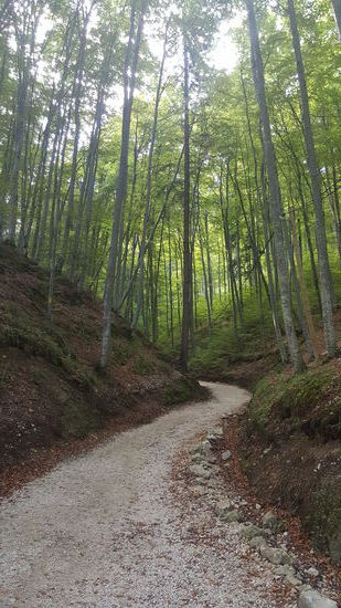Der Weg zum Eingang der Höhle