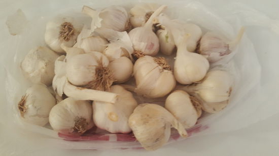Unsere "Beute" --1kg Knoblauch, was wir schwesterlich teilen...