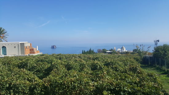 Im Internet haben wir die Unterkunft "B&B2 Giardino Segreto"     ausgesucht. Die ist nur 1km vom Hafen entfernt...