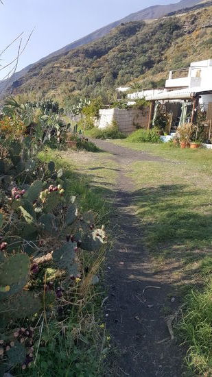 Viel gibt es hier nicht zu sehen...