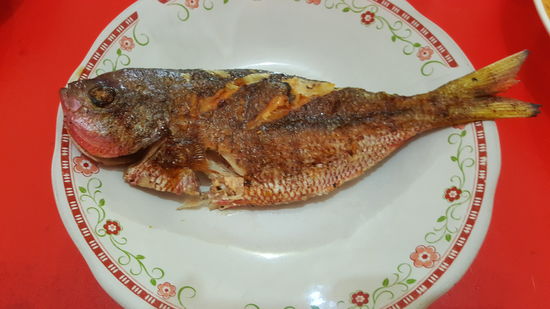 Ich nehme noch extra einen Snapper dazu