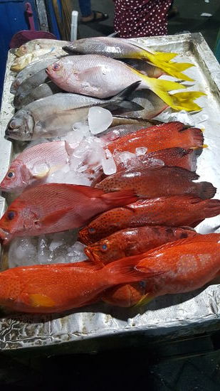 Abends geht zum Hafen Fisch essen. Aus dieser Sammlung suche ich mir einen Grouper aus