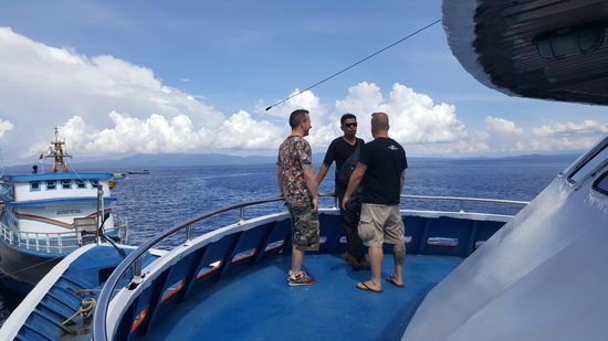 Die beiden sind lustig und voller Tatendrang...