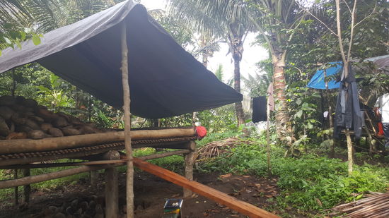 Auch er hat drumherum Kokospalmen. Die Nüsse werden auch fürs Feuer genutzt