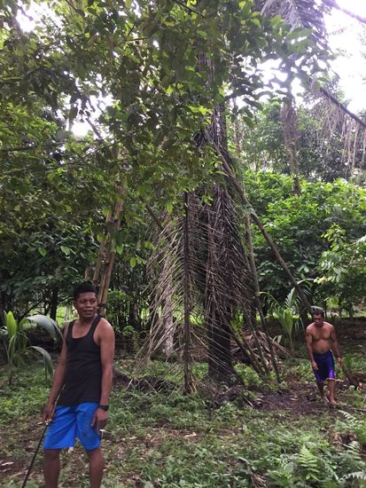 Die Arbeiten hier...