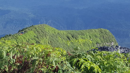 Hier beim heranzoomen sieht man die bunten Punkte