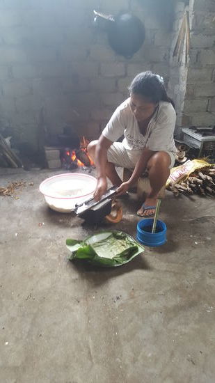 Dann wird das Sago in die Schlitze gefüllt, mit Hilfe eines zurechtgeschnittenen Bananenblattes. Dann mit einem Bananenblatt abgedeckt...