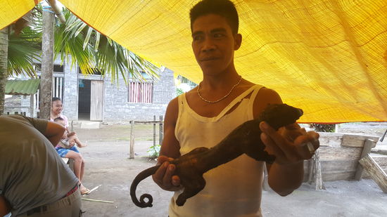 Das ist ein Kuskus, fertig gebraten.Die Abendmahlzeit.... Bei dem Tiernamen bin ich nicht sicher....erst dachte ich ,es wäre eine Ratte ....