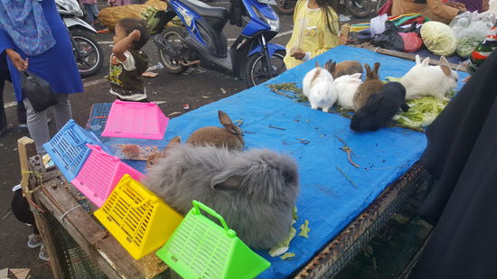 Aber dann sehe ich doch das andere noch..