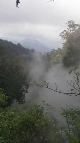Der Blick nach unten....aber alles voller Nebelschwaden