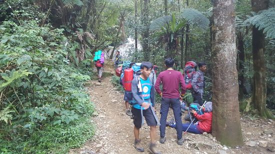 Aber auch andere liegen immer mal wieder unterwegs zum ausruhen herum...