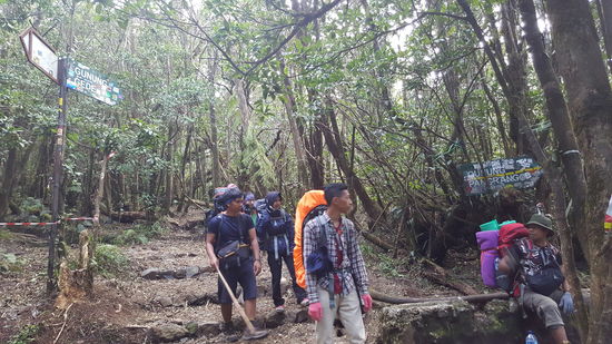 Hier heißt es sich entscheiden: Auf zum „Gunung Gede“ oder nach rechts zum „Pangrango“ , das ist ein anderer Vulkan
