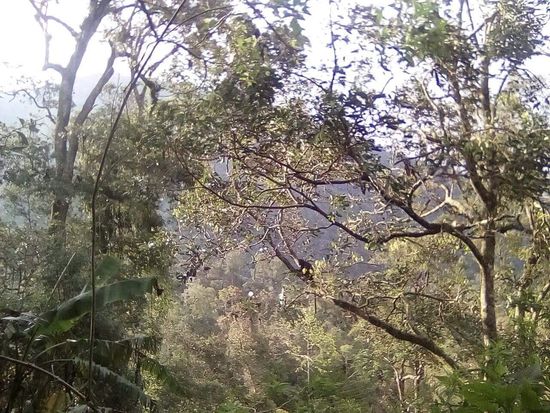 8 Stück sind es ...