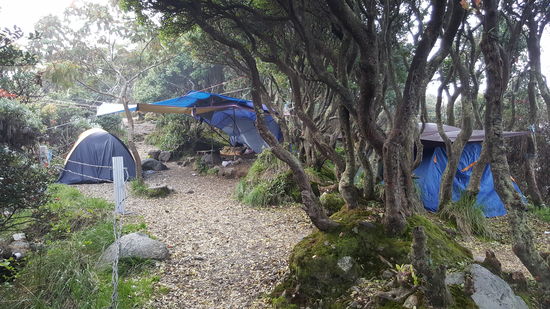 Auch hier oben wird gezeltet, das ist aber bestimmt nicht gesund...