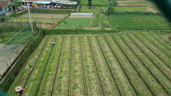 Sehr mühselig das Ganze...