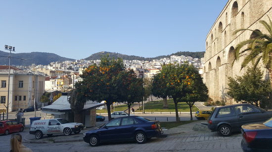 Schöne Orangenbäume..