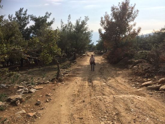 Den anstrengenden Weg bergauf wieder zurück...