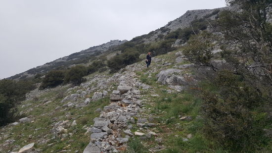 Der Weg ist teilweise sehr steil und durchweg steinig...