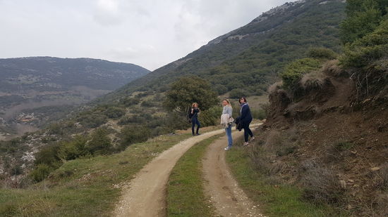 Ein schöner Weg, aber leider nicht der zum Wasserfall...nach 40 minütiger Wanderung kehren wir um und probieren den anderen Weg