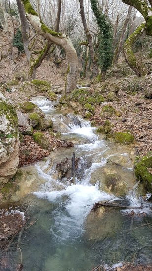 ....immer schön am Bach entlang...