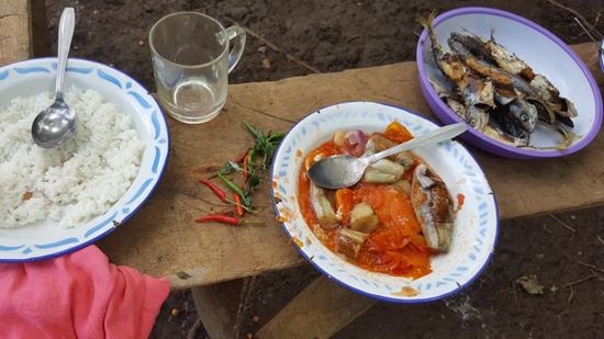 Es gibt gegrillte kleine Fische und Gemüse aus dem Garten und natürlich Reis.
Conny, falls du das liest: garantiert KEIN Glutamat!
Silvi: die Chillies aus dem Garten bringe ich dir mit!