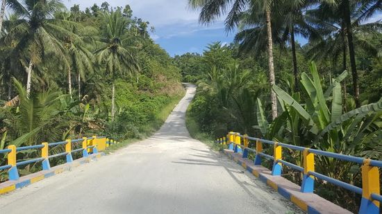 Die Straßen sind gut und wir kommen gut voran.
Ich freue mich, dass es hier nicht so viel Müll auf den Straßen gibt wie im restlichen Indonesien.