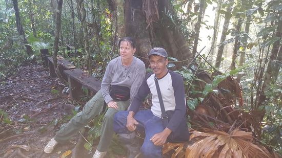 .....und starren alle nach oben...