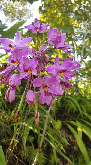 ...auch am Straßenrand...