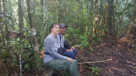 Wir sehen und hören viele der wunderschönen Vögel