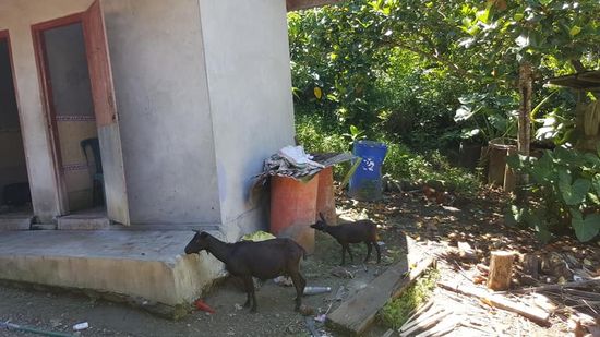 Bevor wir aufbrechen, mache ich noch ein paar Fotos: hier von den beiden Mandi