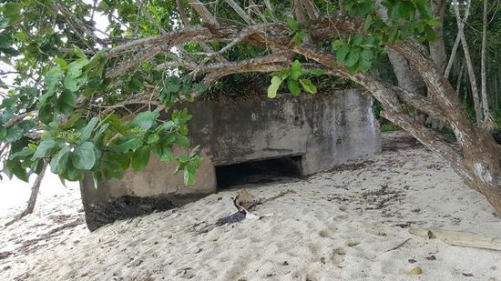 Es sind japanische Bunker aus dem 2. Weltkrieg