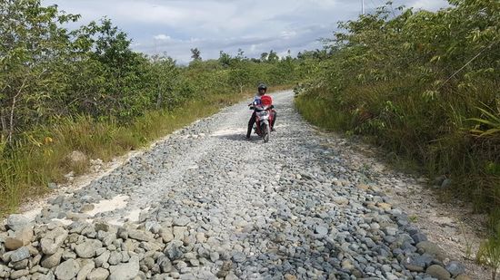 Der größte Teil des Weges sieht so aus