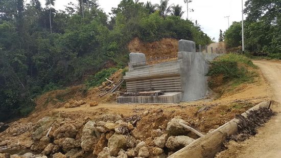 Dies sieht aus, als sollte es mal eine Brücke werden...