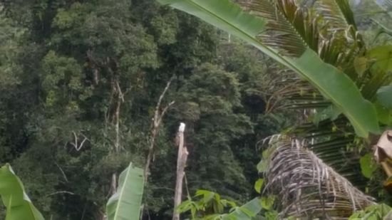 Zu weit für meine Kamera...
Aber sie fliegen über meinen Kopf hinweg und ich bin fasziniert! Hier hätte ich gerne eine Bank zum sitzen...